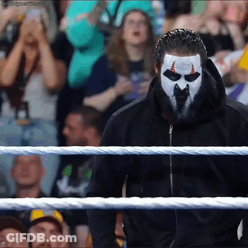 Man With Mask Standing In Wrestling Ring GIF