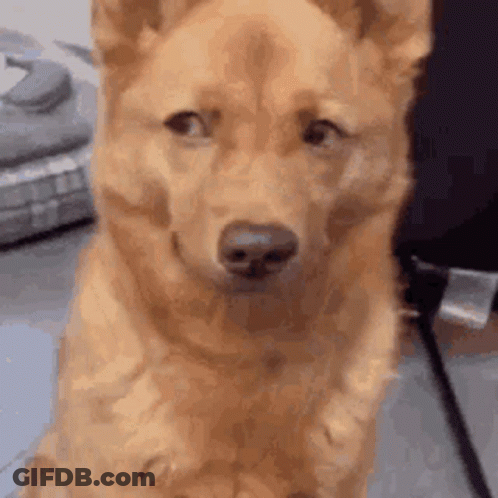 Man With Mouth Open Saying Its Delicious GIF