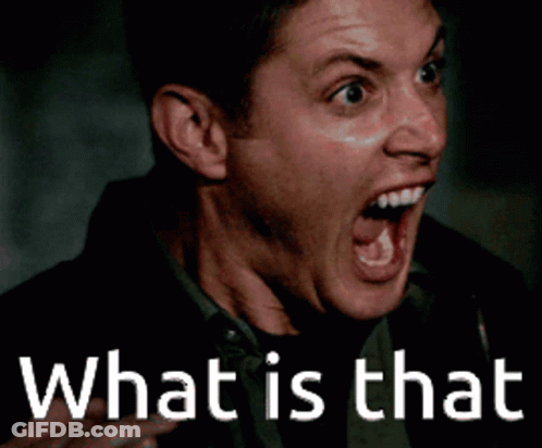Man With Mouth Open Saying What Is That GIF