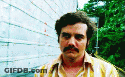 Man With Mustache GIF