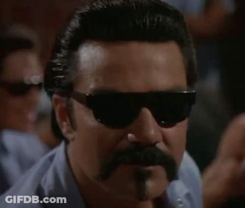 Man With Mustache And Sunglasses GIF
