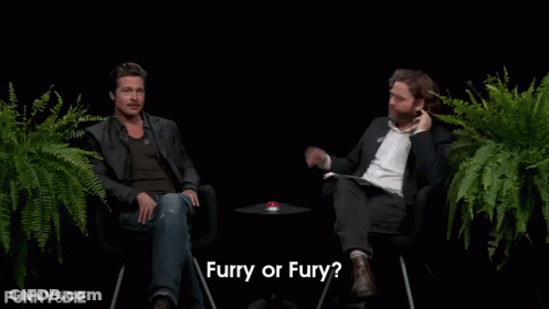 Man With Mustache Asking Furry Or Fury GIF