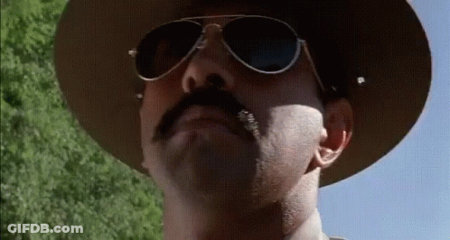 Man With Mustache, Cowboy Hat And Sunglasses GIF