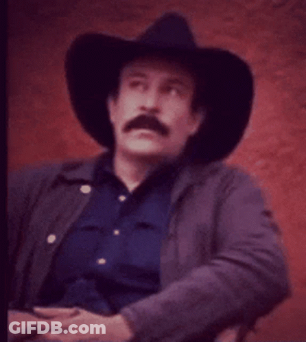 Man With Mustache In Cowboy Hat And Jacket GIF