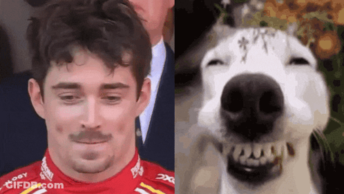 Man With Mustache Next To Dog With Eyes Closed GIF