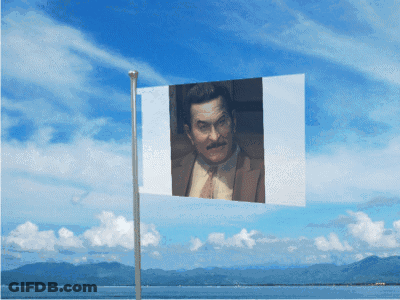 Man With Mustache On Flag GIF