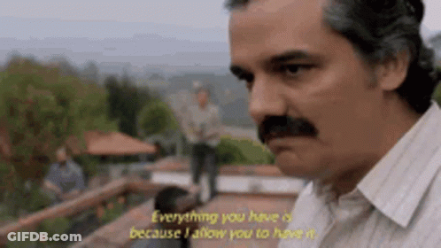 Man With Mustache Saying Because I Allow You GIF
