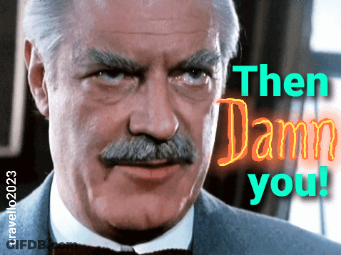 Man With Mustache Saying Then Damn You GIF