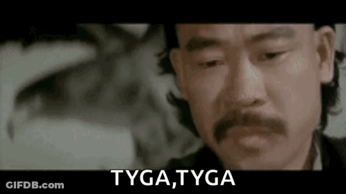 Man With Mustache Saying Tyga GIF