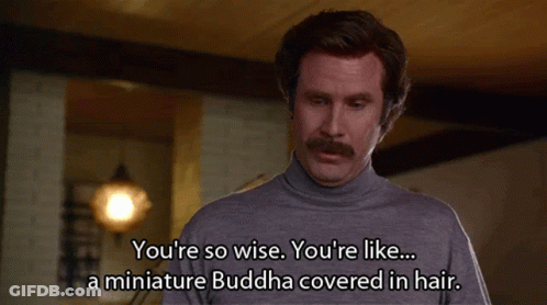 Man With Mustache Saying You're So Wise GIF