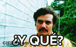 Man With Mustache Says Y Que GIF