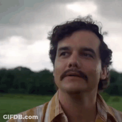 Man With Mustache Standing In Field GIF