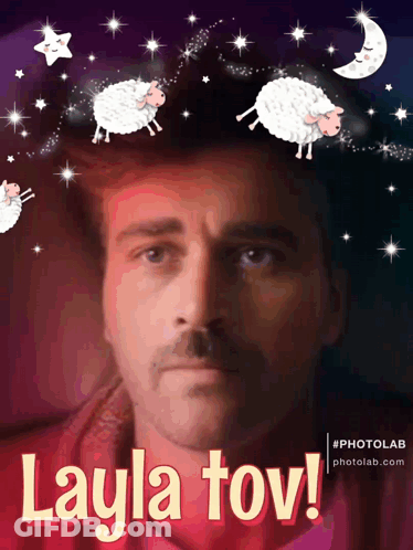 Man With Mustache Surrounded By Sheep Layla Tov GIF