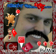 Man With Mustache Surrounded By Turkey Flags GIF