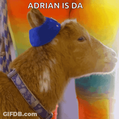 Man With Name Adrian Above Him GIF