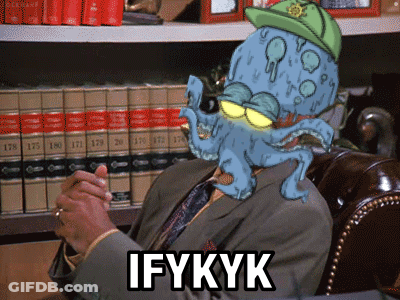 Man With Octopus On Head Saying Ifykyk GIF