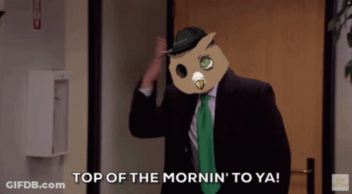 Man With Owl Mask Says Top Of The Mornin To Ya GIF