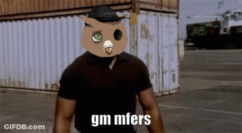 Man With Owl On Head GM Mfers GIF