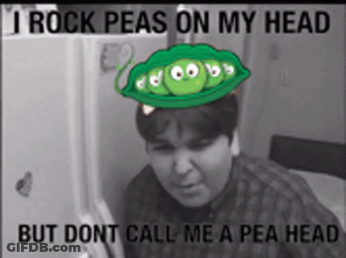Man With Peas On Head Says I Rock Peas On My Head But Don't Call Me A Pea Head GIF