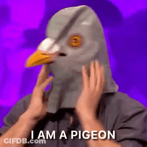 Man With Pigeon Mask Says I Am A Pigeon GIF