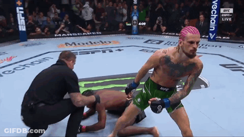 Man With Pink Hair Kneeling In Boxing Match GIF