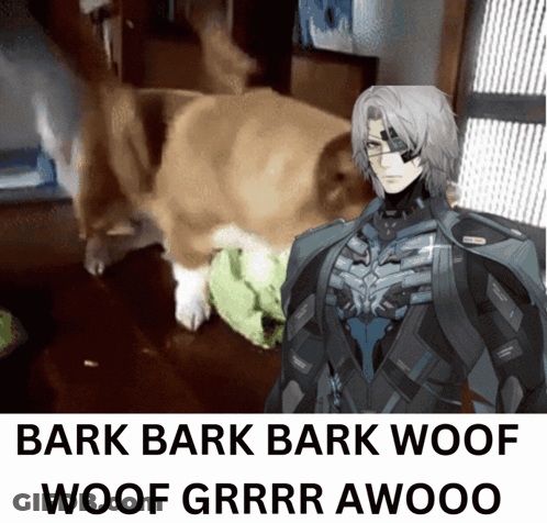 Man With Scarf Saying Dont Bark At Me You Dog GIF