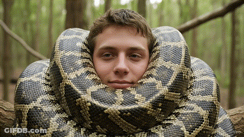 Man With Snake Around Head Looking At Camera GIF