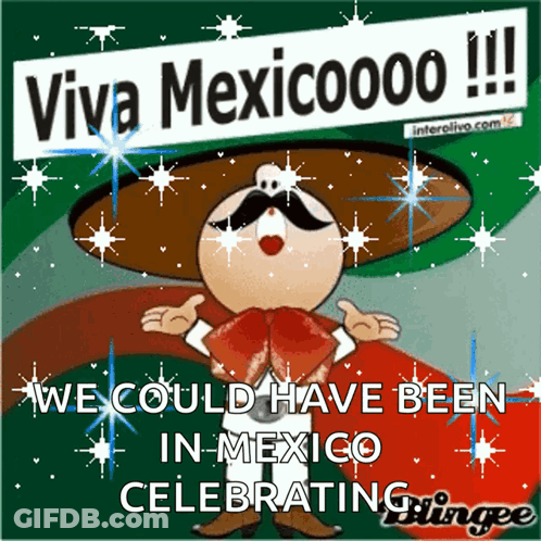 Man With Sombrero And Mustache Says Viva Mexicoooo GIF