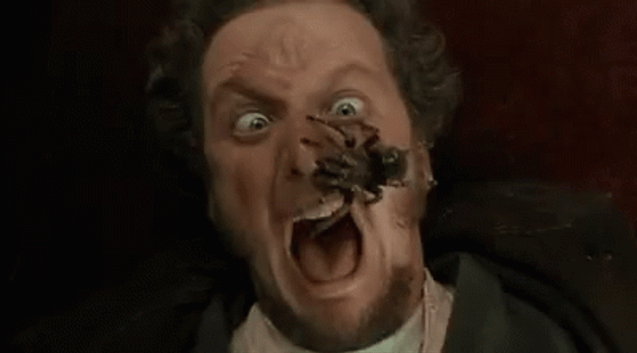 Man With Spider On His Face GIF