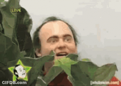 Man With Star On Head Surrounded By Leaves And Leve Sign GIF