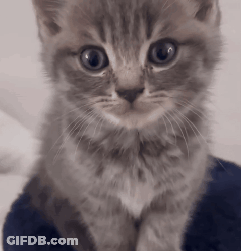 Man With Stethoscope And Chris Name Tag GIF