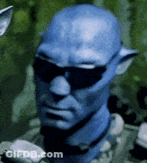 Man With Sunglasses GIF
