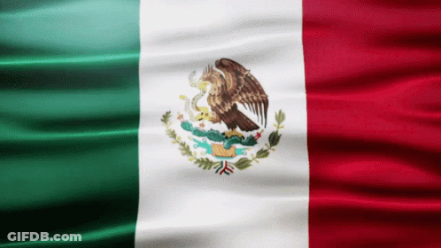 Man With Sunglasses And Wig Mexican Flag GIF
