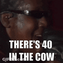 Man With Sunglasses Saying There's 40 In The Cow GIF