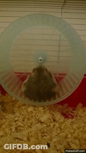 Man With Surprised Expression GIF