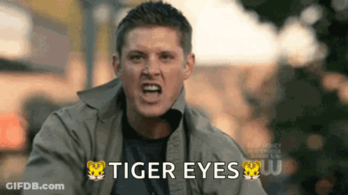 Man With Tiger Eyes On Jacket GIF