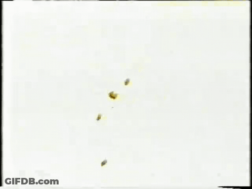 Man With Towel Making Funny Face GIF
