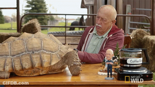 Man With Turtle And Coffee Envy Pot GIF