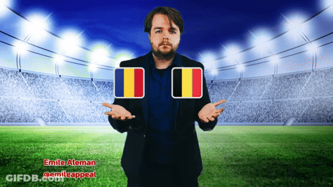 Man With Two Flags And Emile Aleman Stadium GIF