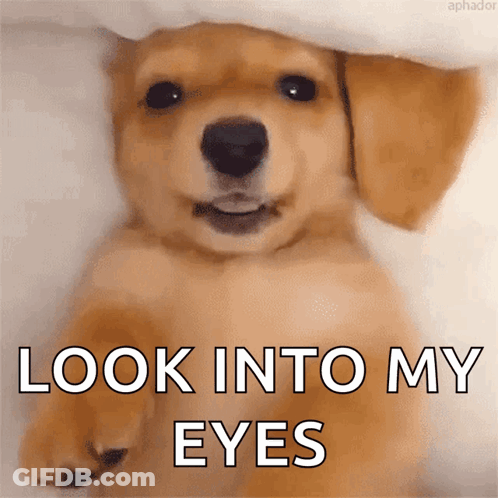 Man With Two Monitors Let Me Check That GIF