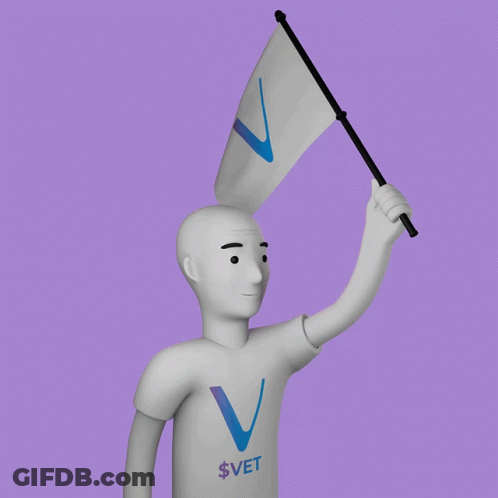 Man With $ Vet Shirt Holding Flag GIF