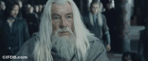 Man With White Hair And Beard Standing Before Crowd GIF