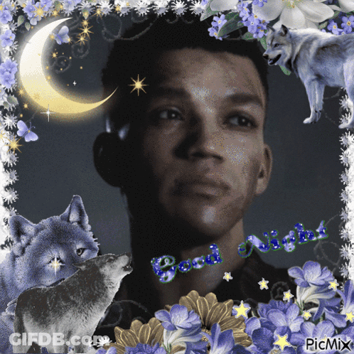 Man With Wolves And Flowers Saying Good Night GIF