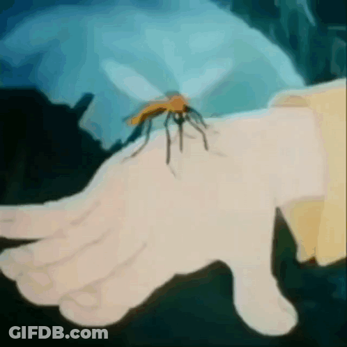 Man With Word True On Blue Object GIF