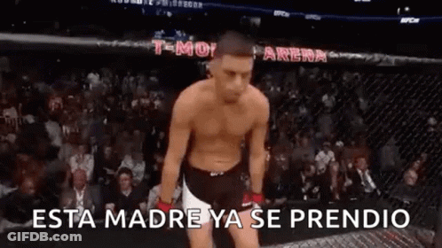 Man Without Shirt In Cage UFC Match GIF