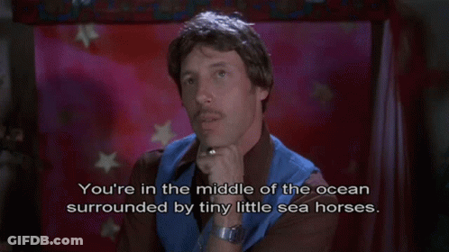 Man: You're In Ocean Surrounded By Little Sea Horses GIF