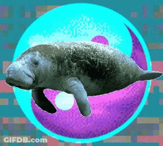 Manatee Hands Flapping GIF