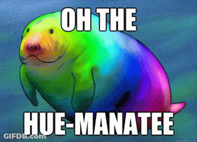 Manatee Rainbow Hue-Manatee GIF