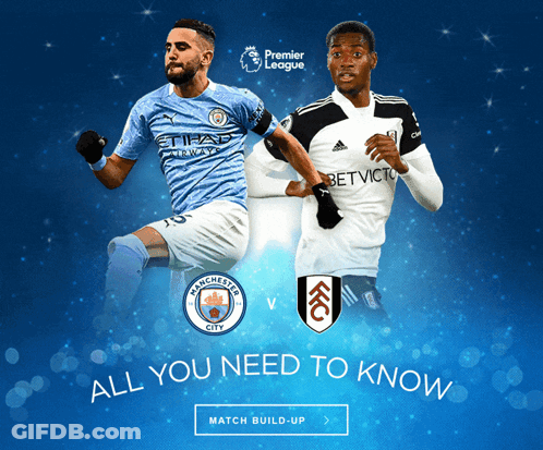Manchester City Vs Fulham Premier League GIF