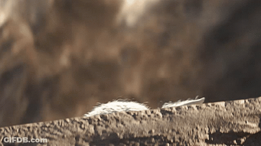 Mandalorian Baby Grogu Looking GIF